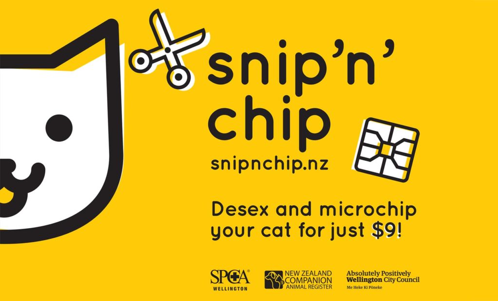 6422-SPCA-Snip'n'Chip-carMagnet_1-1-PRINT Close up of icon and typography design, by brand agency Wonderlab.