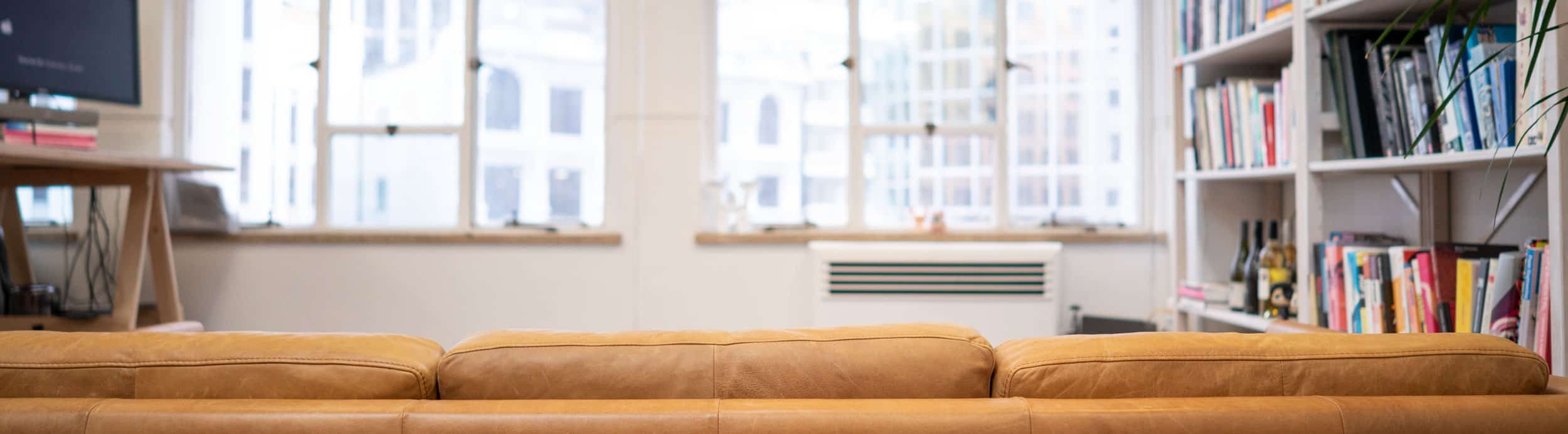 A living room with a couch and bookshelves.