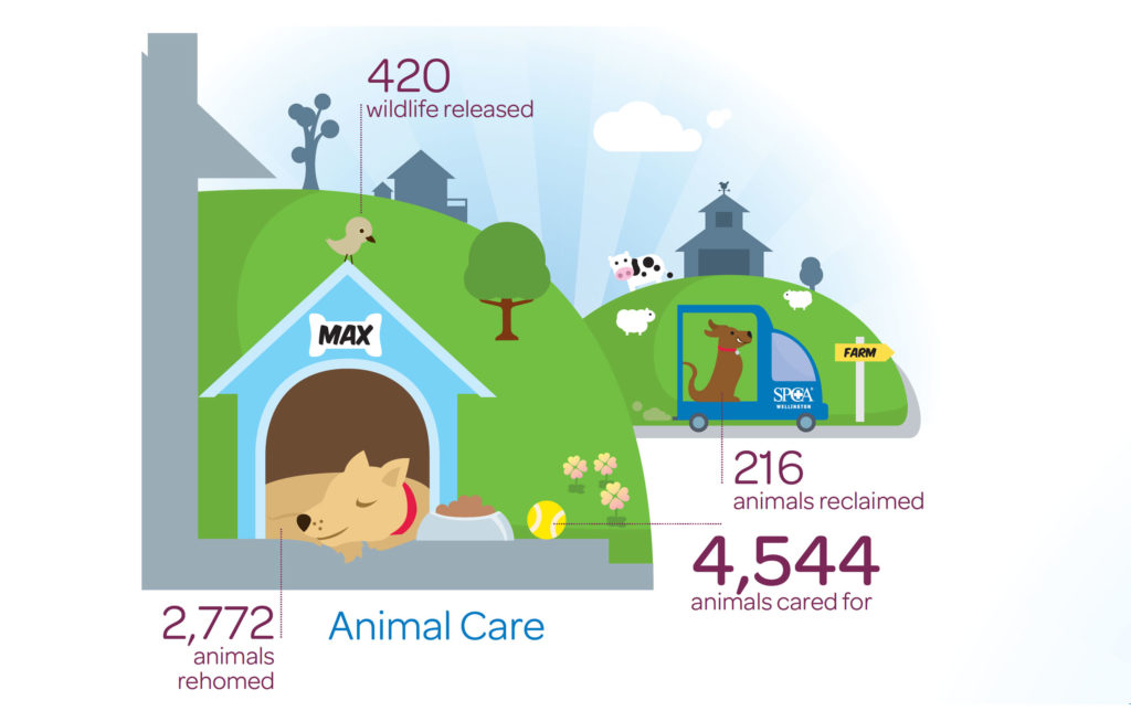 spca-ar-animalcare Animal illustration used for information design in an annual report by Wonderlab
