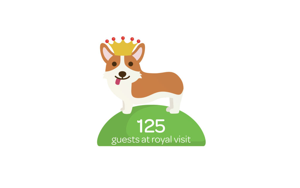 spca-ar-royals Illustration of corgi dog used for information design by Wonderlab