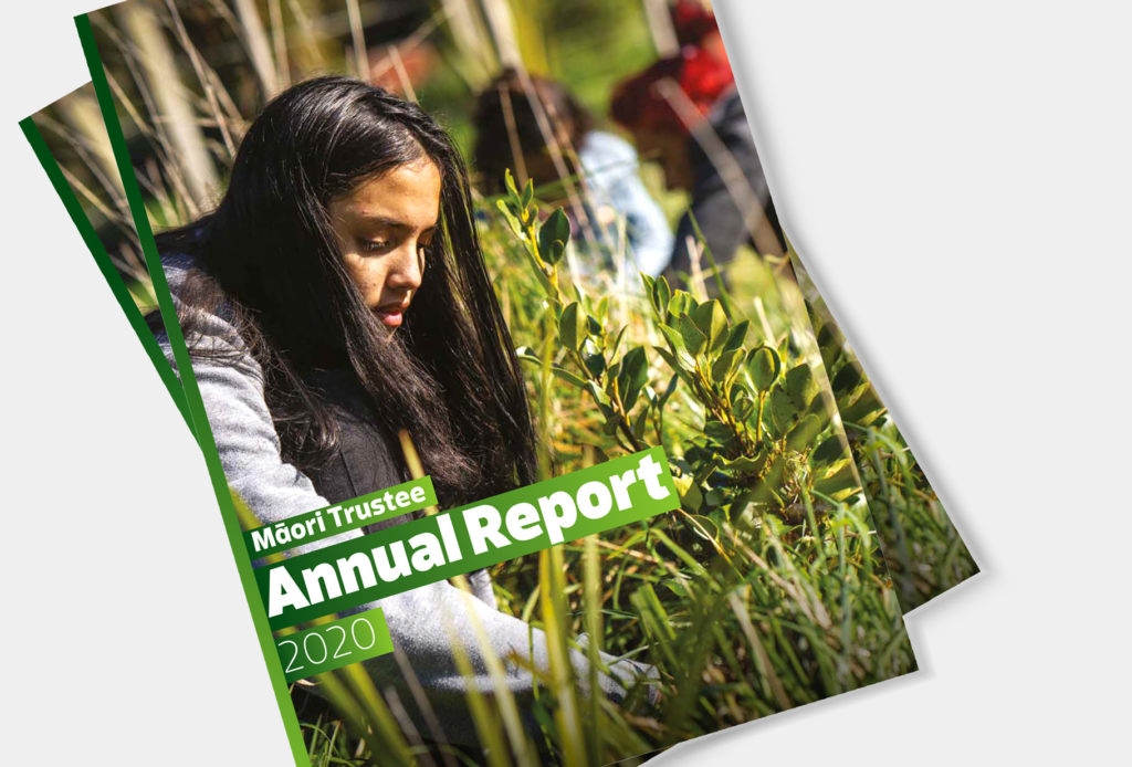 TTP_AR_2020_cover_2 Annual report book cover design by print designers Wonderlab