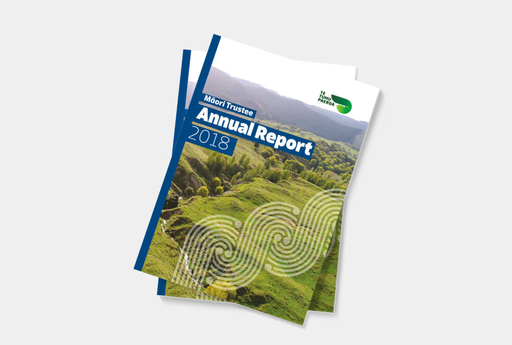 TTP_Annual-Report-2018_Cover-print Annual report book cover design by print designers Wonderlab