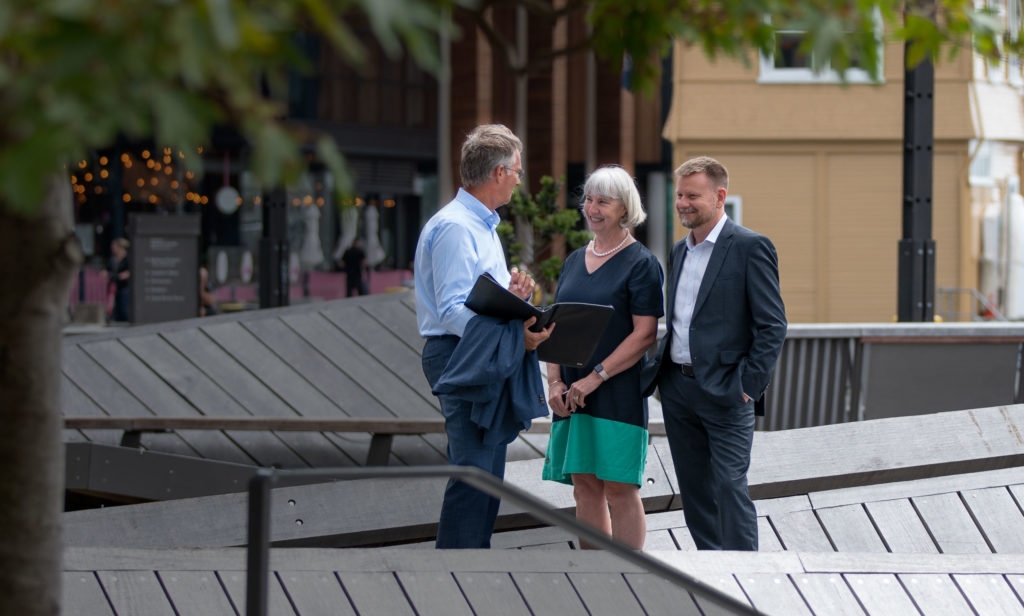ichor-img-partylights Staff portrait at Wellington waterfront, creative direction by brand specialists Wonderlab.