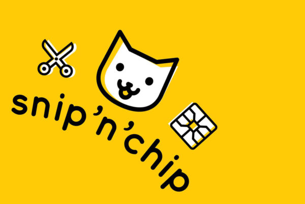Logo with a cat designed by branding company Wonderlab