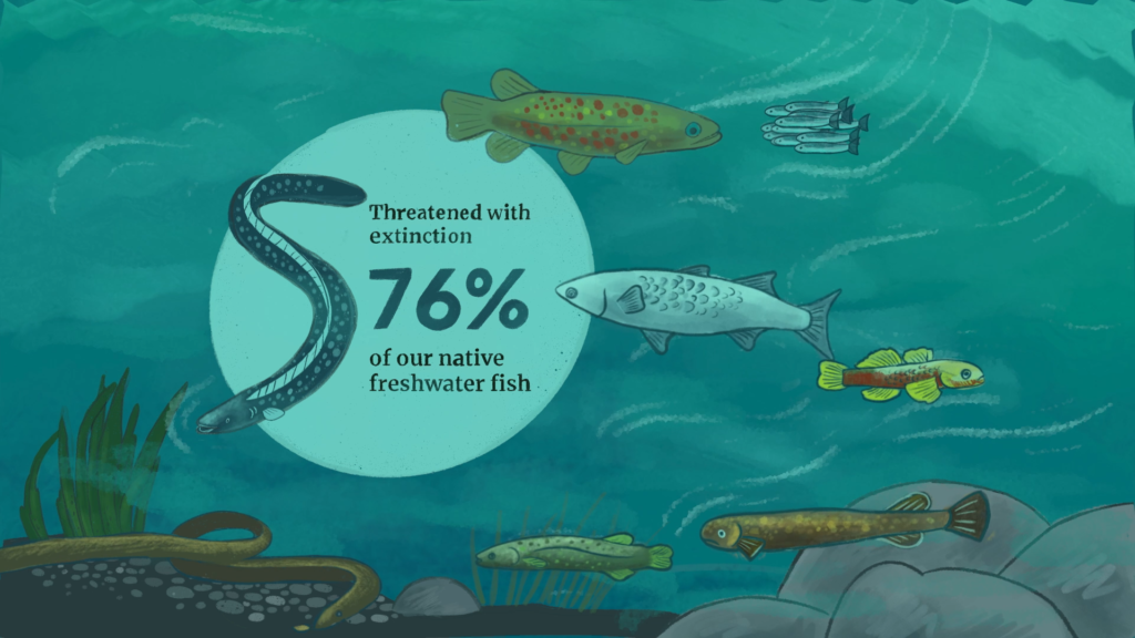 010 sceen te mana o te wai Illustration of fish in a river, part of a public engagement campaign by Wonderlab