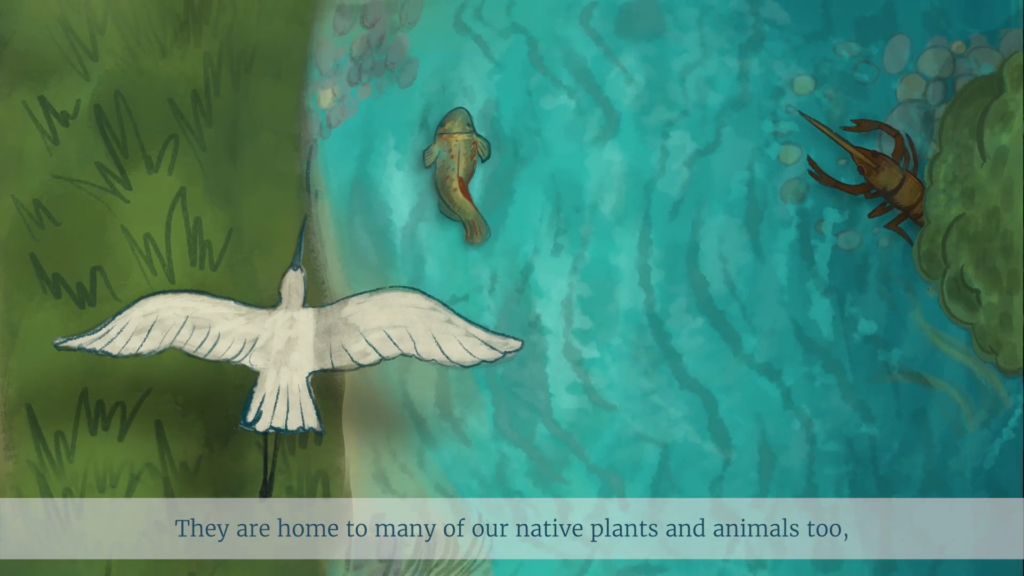 04 scene te mana o te wai Illustration of bird by a river, part of a public engagement campaign by Wonderlab