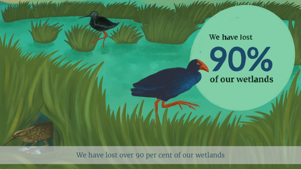 05 scene te mana o te wai Illustration of pukeko by a river, part of a public engagement campaign by Wonderlab