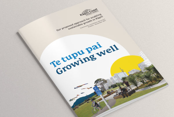 Booklet design with illustration and Te Reo, by creative agency Wonderlab.