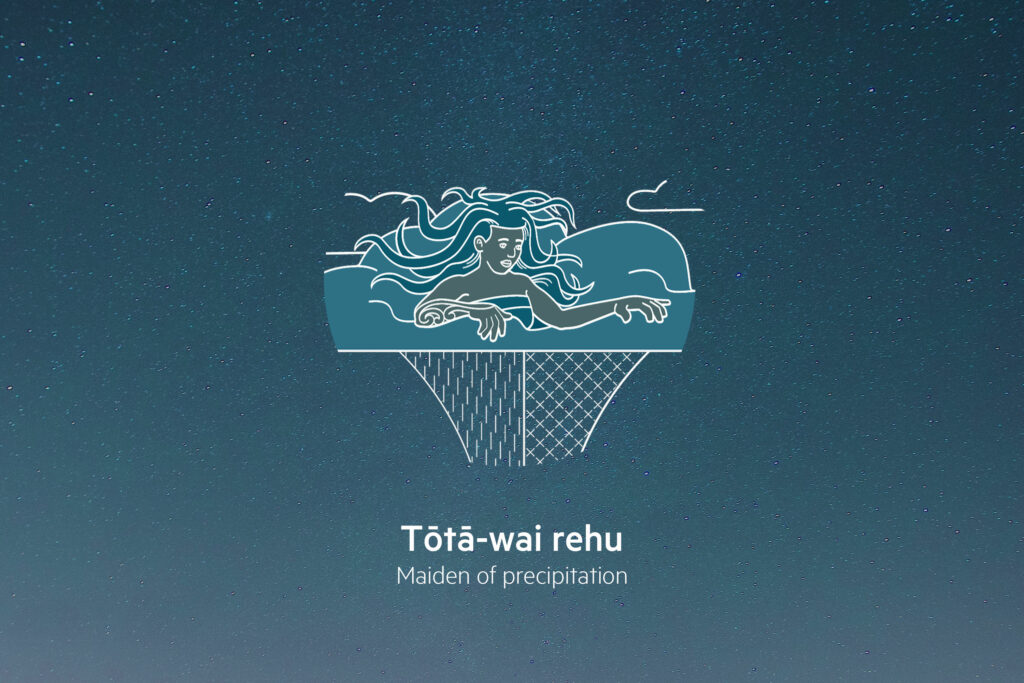 TA_watercycle_tota-wai-rehu An image of a woman with a net in the sky.