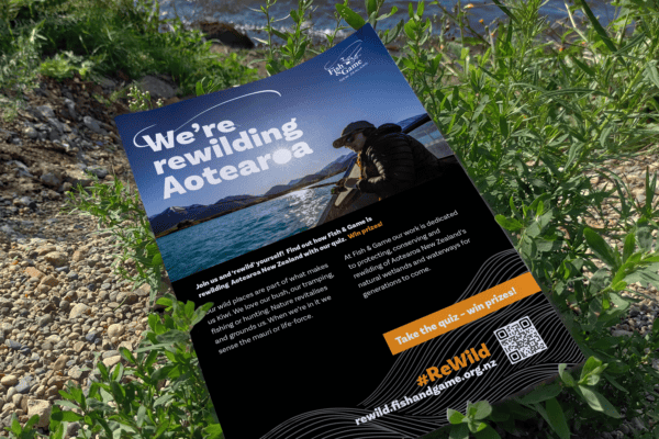 Fish-and-Game_ReWild_Poster-Mockup A flyer titled "We're rewilding Aotearoa" lies on some greenery near a body of water. It features an image of a person in nature with mountains and water in the background. The flyer promotes Fish & Game NZ's conservation efforts and includes a QR code for more information.